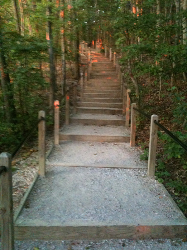 2nd Set of stairs to the top of the dune.