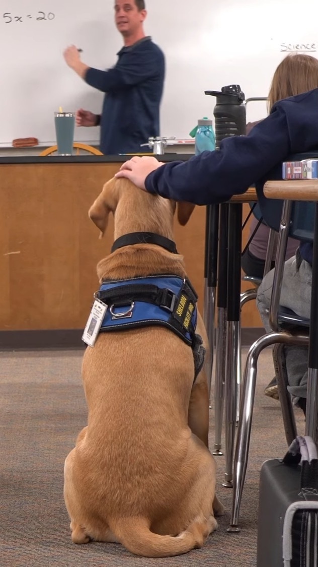 Sheldon in the classroom with teacher Jeff Palacios